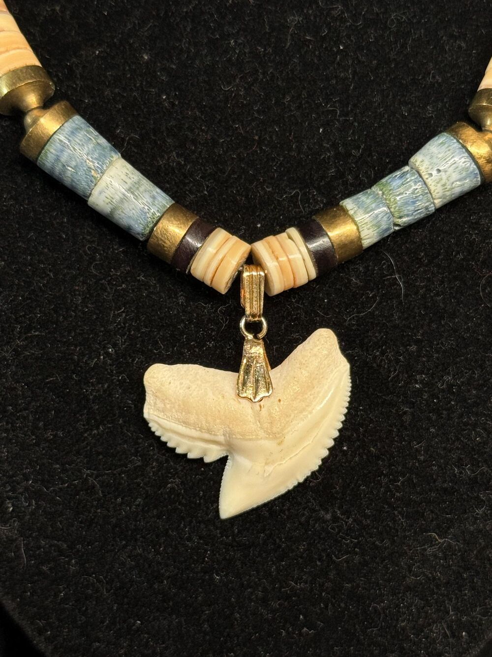 Vintage Heishi Blue Coral Shell Shark Tooth Necklace